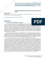 Mecanismos Moleculares Del Desarrollo Del SNC-artículo