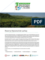 Reserva Nacional de Lachay