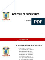 05-Ppt-Derecho de Sucesiones-Aceptación y Renuncia-Abg. Jaime René Guarino Calizaya-Unjbg-202 I.