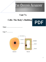 Unit 7A Cells: The Body's Building Bricks: Name: .