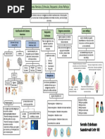 PLEA Biologia - Sergio Sandoval 9b