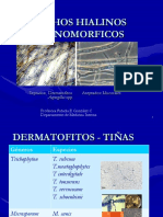 Clase 6 Mohos Hialinos Monomorficos