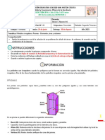 2t Gua 4 Geometria 9 Poliedros Irregulares - Prismas