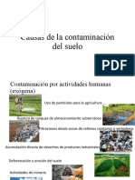 Causas de La Contaminación Del Suelo