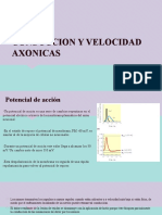 Conduccion y Velocidad Axonicas