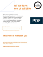 Wild Animal Welfare: Management of Wildlife: World Animal Protection by DR Christine Leeb