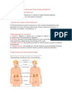 Taller 1 Sistema Endocrino Valerie