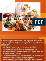 Digestión y Absorción de Nutrientes