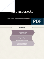 Slides Alunos Autorregulação