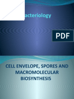 Clinical Microbiology L4