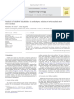 Analysis of Shallow Instabilities in Soil Slopes Reinforced With Nailed Steel Wire Meshes