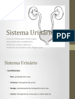 Aula 01 - Anatomia Do Sistema Urinário