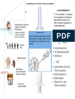 Boceto Mapa Conceptual