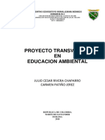 Proyectos Transversales