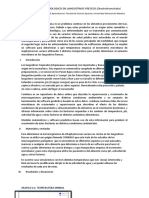 Formato de Informe