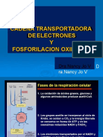 T-5 Fosforilación Oxidativa