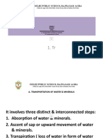 Transportation of Materials in Plants (Grade X)