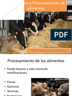 Preparación y Procesamiento de Alimentos