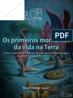 Os Primeiros Momentos Na Terra