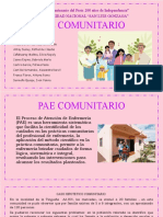 Pae Comunitario, Semana 14