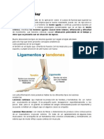 Guion Lesiones Deportivas - Rutina