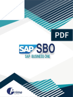 Sap Business One: Institute