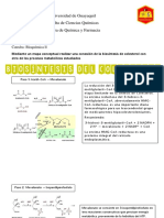 Biosíntesis de Colesterol