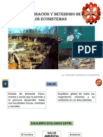 Contaminación y Deterioro de Los Ecosistemas