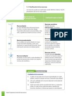 Neuronas y Células Gliales