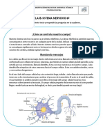 Lectura Sistema Nervioso-8º