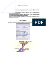 Endocrinología Bioquímica