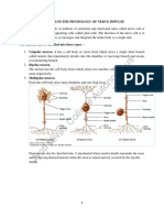 Physiology of Nerve Impulse