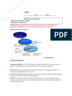 Ciencias 5º Guía