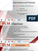 Week 2 The Tissues Membranes