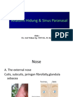 Anatomi Hidung & Sinus Paranasal