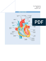 Yap, Dran - Cardio Module 1