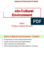 Socio-Cultural Environment