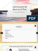 La Priorización Del Cáncer en El Perú