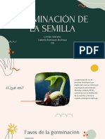 Germinación de La Semilla