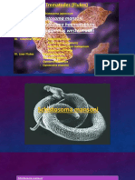 Parasitology - Trematodes - S. Mansoni, S. Haematobium, P. Westermani