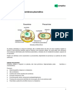 NST-biologia-Tipos de Células e Membrana Plasmática