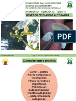 Fitomejoramiento - Semana 12 - Tema 11: Mejoramiento Genético de Plantas Autógamas