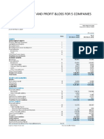 Balance Sheet and Profit