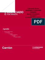 Enfermeria Semana 9 Sistema Cardiovascular