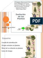 Evolución de Las Plantas