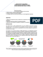 Laboratorio de Bioquímica 2-Catalasa