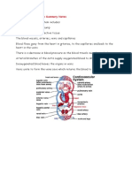 Cardiovascular System Summary Notes Vafum8