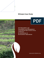 ELD-ethiopia I 06 72dpi-D