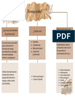 Bioseguridad Mapa Conceptual