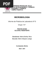 Labo 6 Microbiologia